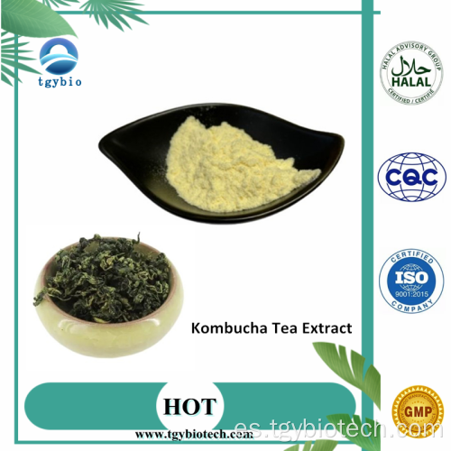 Extracto de té de kombucha orgánico al por mayor en polvo